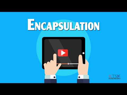 Tutorial 3 | (Part 2) : VB .NET Encapsulation Object Oriented Programming using VB.NET