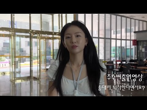 비디오 11