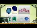 Buy Blue Sapphire Gemstone Online