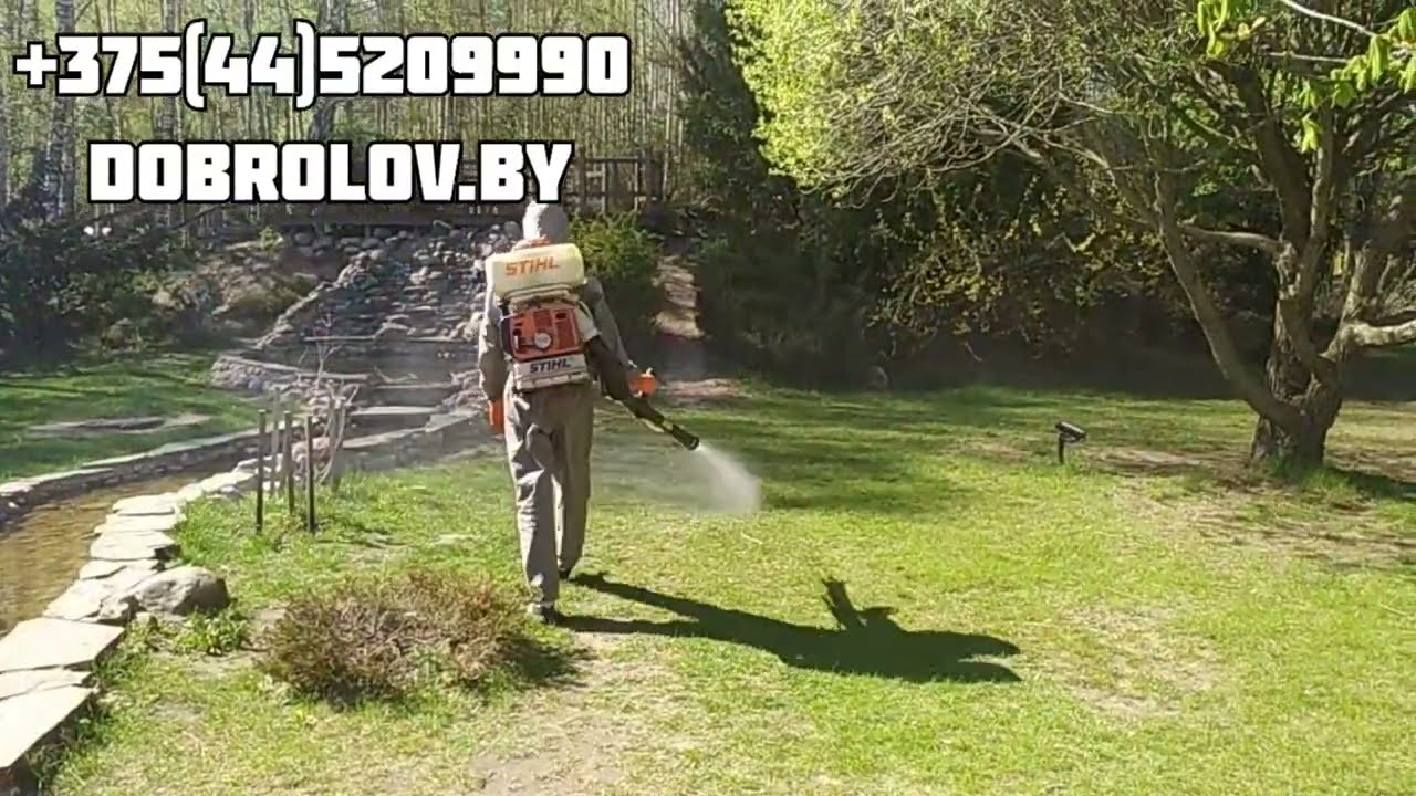 Акарицидная обработка, уничтожение клещей энцефалитных, боррелиозных в Беларуси.