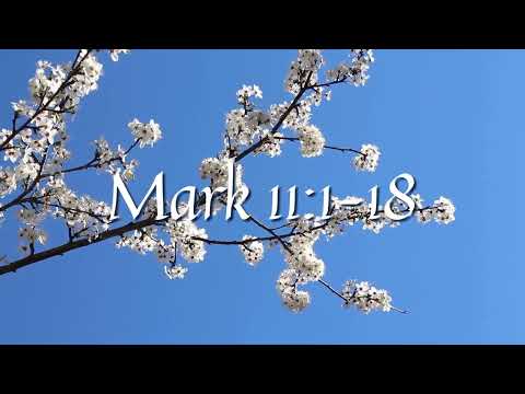 Mark 11:1–18
