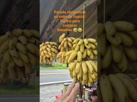 #viagem #juquia #tapirai #mataatlantica #frutas #saopaulo
