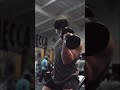 Bicep training