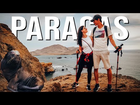 BEST Things To Do in Paracas, Peru | Islas Ballestas and Paracas National Reserve