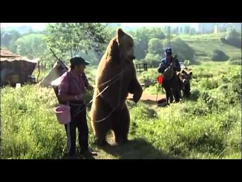 Мечката е домашно животно во Бугарија