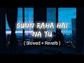 Sunn Raha Hai Na Tu Male Version | Aashiqui 2 | Slowed+reverb | Lofi Song | Aditya R. K.,Shraddha K.