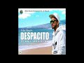 Despacito Hindi Version Uday Bagri