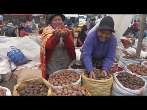 "Saquisilí de mi vida" Orgullosamente Ecuatoriano🇪🇨🫶