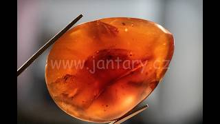 Druhohorní jantar z Myanmaru BJ-33