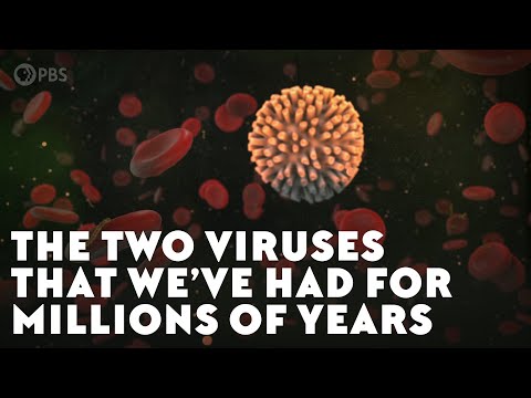 Humans Have Had These 2 Viruses For Millions of Years!
