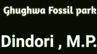 preview picture of video 'National Fossil Park, Ghughwa, Dindori, Madhya Pradesh'