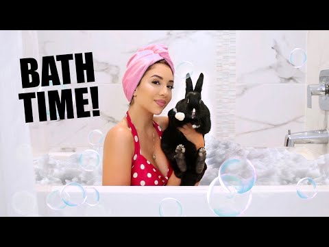 OUR BUNNY NIGHTTIME ROUTINE🌛