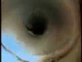 Eliezer Liron Com Br