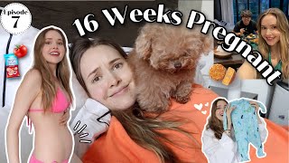 16 Weeks Pregnant, Cravings, & Settling into Fall | Our Fertility Journey Episode 7