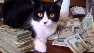 First World Problems (Original Song) - Week 5