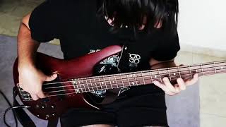 King Gizzard and The Lizard Wizard with Mild High Club - Tezeta (Bass Cover)