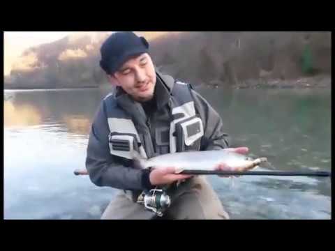 Danilo Stanar - Drina - Mladica - Hucho Hucho - C&R