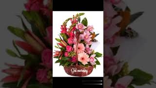 most beautiful flowers good morning wishes video and good morning flowers video