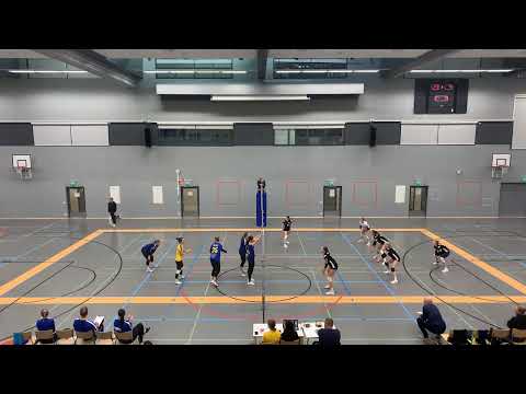 Salpis N2 -  Puma n3