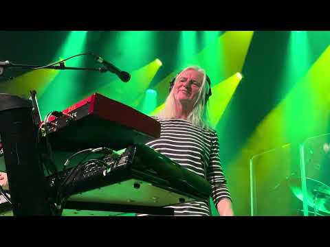 Lifesigns perform Shoreline