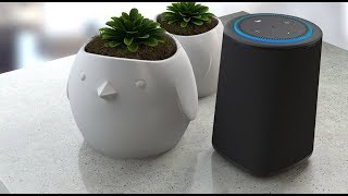 The Portable Powered Speaker for Amazon Echo Dot: Vaux from Ninety7