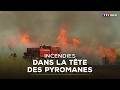 Wildfires Inside The Minds Of Arsonists TF1 INFO
