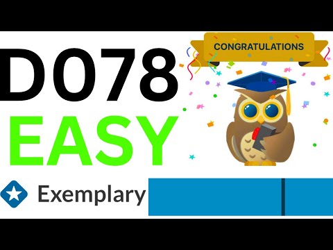 D078 Task 1 Example
