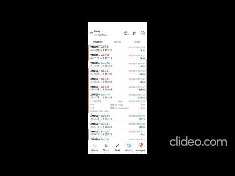 Video The Gold Space