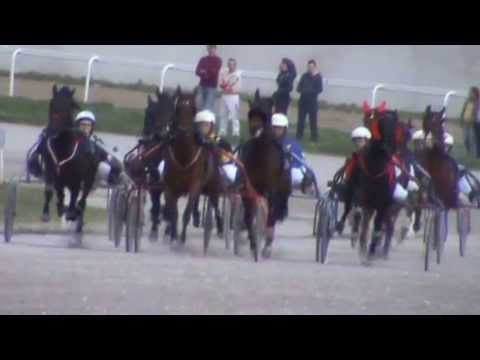 Београд 14 Април 2013, трка "Алтек", до 4000 еура