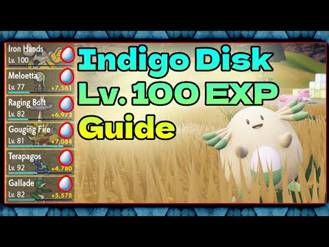 NEW FAST Level 100 EXP Farm In Pokemon Scarlet and Violet The Indigo Disk