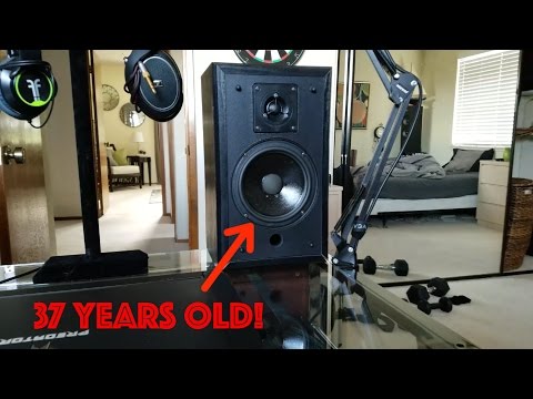 setup tour with polk monitor 4's/ lepy 2020a review