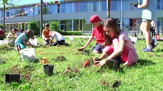 Klimaschutz für München: Menzing soll grüner werden!