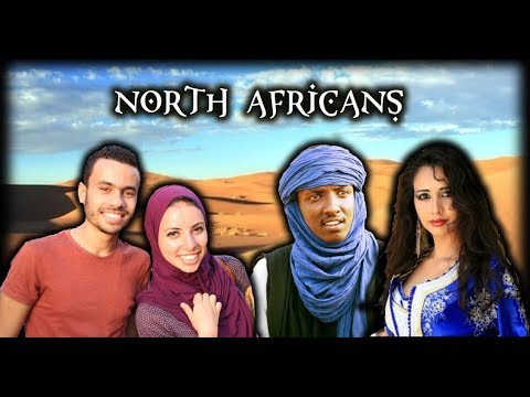 Are North Africans White, Black or Middle Eastern? Genetics of Egypt, Morocco , Algeria and More!