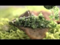 Indomie TVC We Are Different