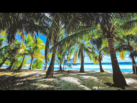 Softest Beach Sounds from the Tropics   Ocean Wave Sounds for Sleeping, Yoga, Meditation, Study