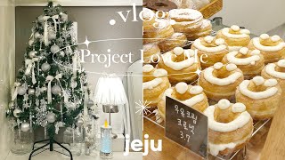 Last Week of November | Christmas Preparation | Seoul Spring Viewing Review |  Jeju Daily Vlog