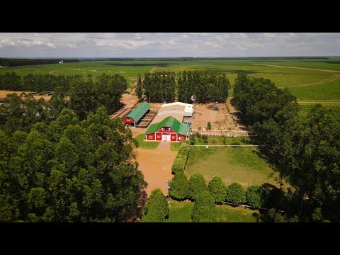 Kodyak - Nutrição Animal