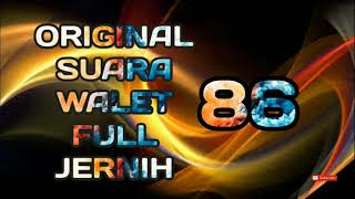 Download lagu Original Suara Walet Full Jernih 86 (SUARA WALET) mp3