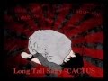 Long Tall sally - Cactus