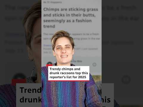 Trendy chimps and drunk raccoons top this reporter’s list for 2025