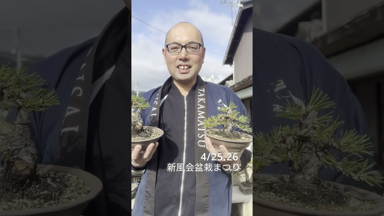 盆栽が1,000本並ぶ春のイベント｜新風会盆栽まつり
