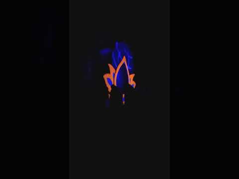 Rica Amaral - LIVE Earthdance Festival 2019