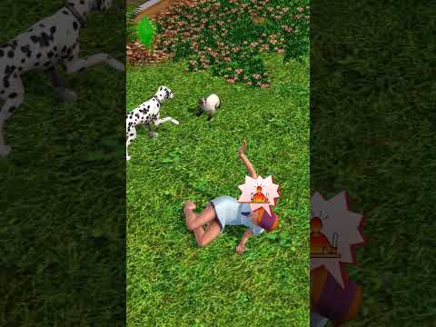 Питомцы спасают от смерти в Симс 3