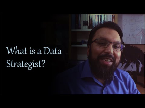 What is a Data Strategist