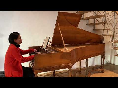 Satoko Doi-Luck Composer Series 2: Lucille Lyllou Chevalier - Biedronki