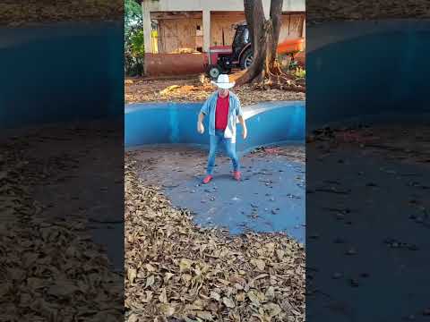 A Fazenda Itaúna, que fica no município de Alvorada do Sul, no norte do PR.  #shorts