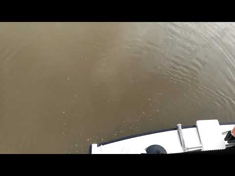 Pedro LEVANTO 38  - Boatshed - Boat Ref#256115