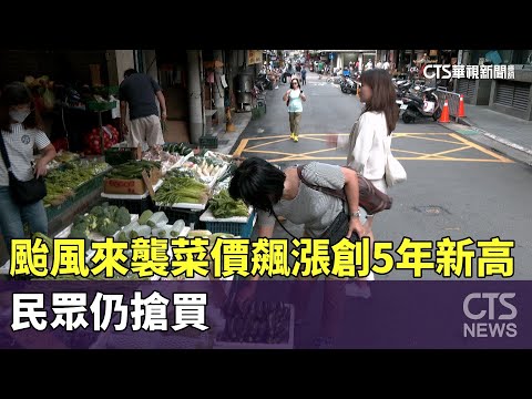 山陀兒來襲菜價飆漲創5年新高　民眾仍搶買