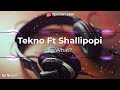 So What By Tekno And Shallipopi