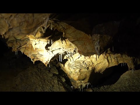 Prehliadka Moldavskej jaskyne - A Szepsi-barlang megtekintése